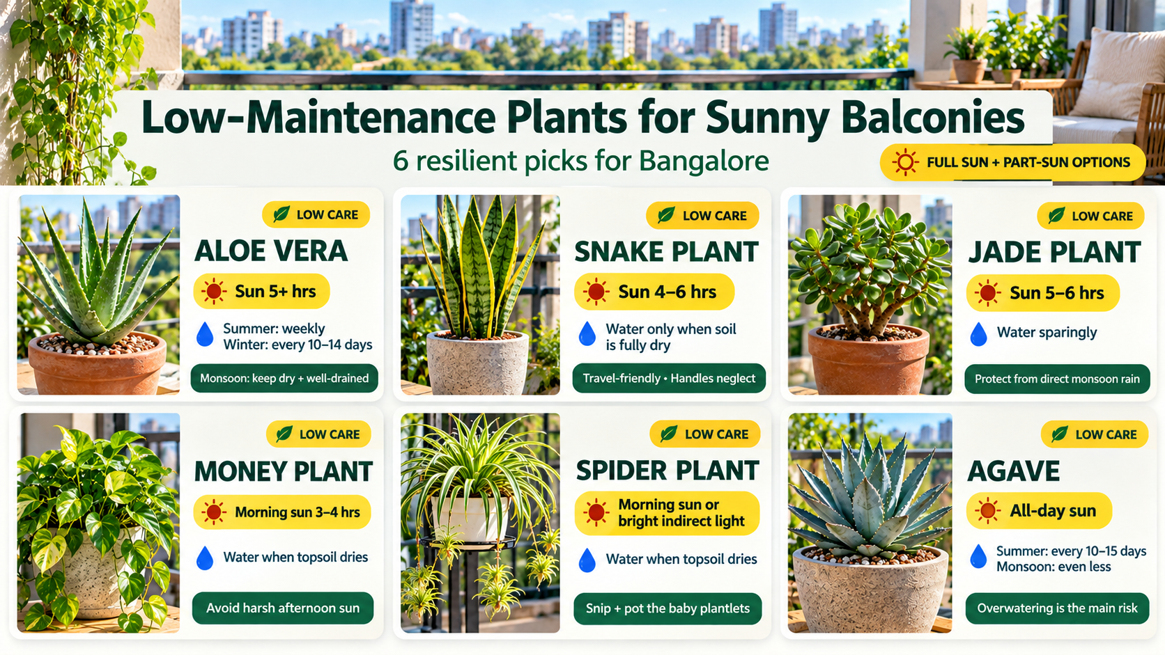 Sunny Balcony Plant Guide Low-maintenance balcony plants for Bangalore direct sun including Aloe Vera, Snake Plant, Jade Plant, and Agave